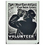 Volunteer! flyers