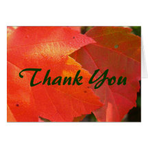 Volunteer Thank You Card