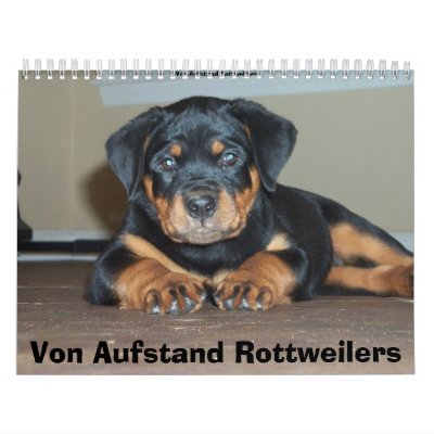 Von Aufstand Rottweilers Calendar by Sholcroft