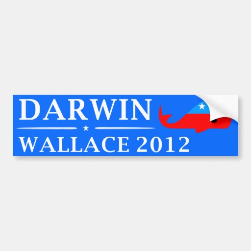 Vote Darwin &amp; Wallace in 2012 Bumper Sticker | Zazzle