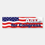Vote for a better Congress! Bumper Sticker
