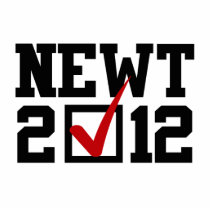 VOTE NEWT GINGRICH 2012 CUT OUT