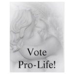 Vote Pro Life Flyer