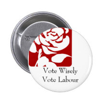 Vote Wisely, Vote Labour Pins