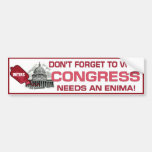 Voter Bumper Sticker