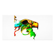 vulture-chicken