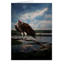 Vulture Fantasy Greeting Cards