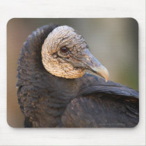 Vulture mousepads