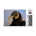 Vulture postage