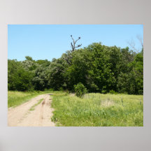 Vulture Tree Print