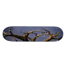 Vultures In Tree Skateboard