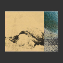 Vultures postcards