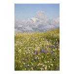 WA, Mt. Baker Wilderness, Mt. Shuksan and photography