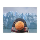 Wabbles postcards