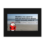 Waddles at Cocoa Beach Post Card postcards