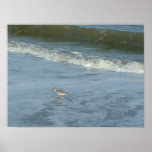 Wader posters