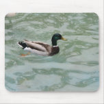 Wading Duck mousepads