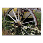 Wagon Wheel cards