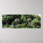 Waimea Falls Park Poster