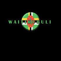 Waitikubuli Women's Spaghetti Top t-shirts