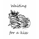 Waiting For a Kiss t-shirts