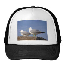 Waiting for Lift-Off Mesh Hat