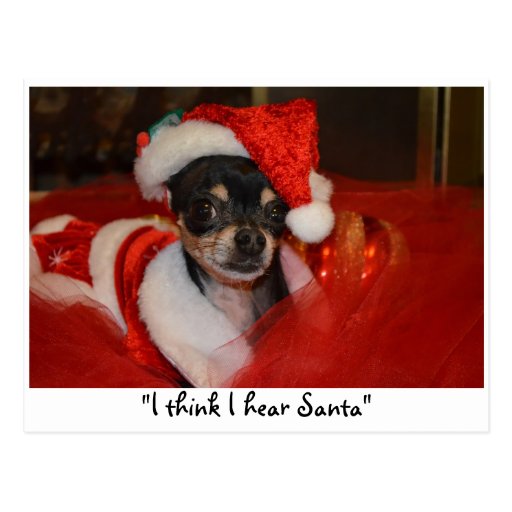 Waiting for Santa Post Cards
