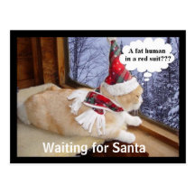 Waiting for Santa Postcard