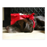 waiting for santa postcards