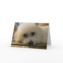 "Waiting for Santa's Arrival" Greeting Card