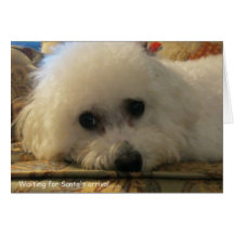 "Waiting for Santa's Arrival" Greeting Card