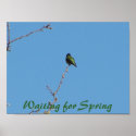 Waiting for Spring Poster posters