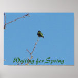 Waiting for Spring Poster posters