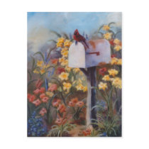 Waiting For the Mail Cardinal Postcard