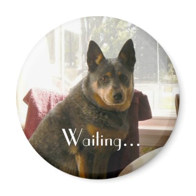 Waiting... Magnets by codfishlady