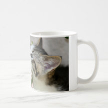 Wake up and smell the flowers.... mug