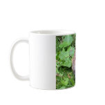 Wake up! mugs
