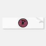 Wakeboard Raley Infinite Bumper Sticker