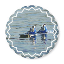 Wakeboarding 360 Magnet