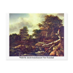 Wald By Jacob Isaackszoon Van Ruisdael Postcard