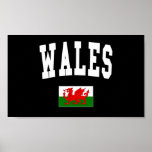 Wales College Style posters