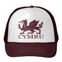 Wales CYMRU Mesh Hats
