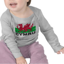 Wales CYMRU Vintage Flag Tshirt