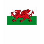 Wales Flag T-shirt