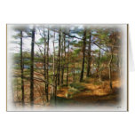 Walk in a Fall Forest Greeting Cards