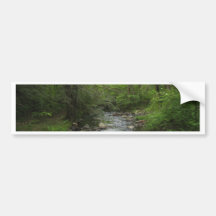 Walk in the Woods Bumper Stickers