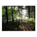 "Walk Near the River" Northumberland Post Card