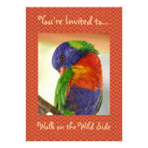 Walk on the Wild Side Personalized Announcement
