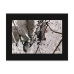 Walk the Line postcards