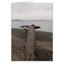 walk the plank greeting cards
